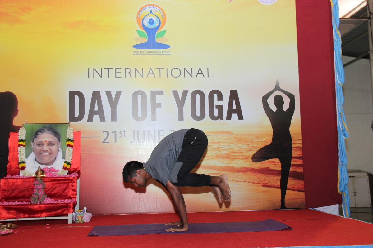 International Yoga Day - 2017
