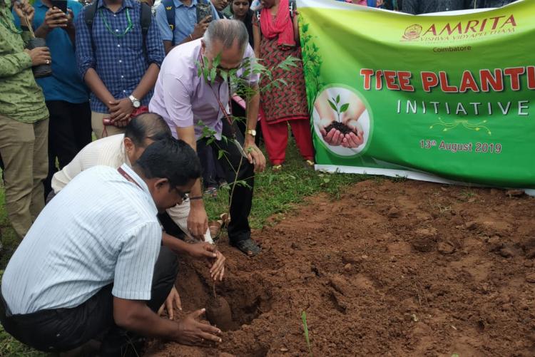 Tree Plantation Programme 2019