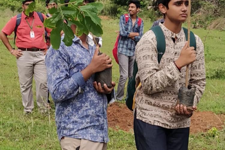 Tree Plantation Programme 2019